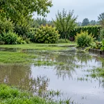 Jardin gorgé d'eau après plusieurs heures de pluie